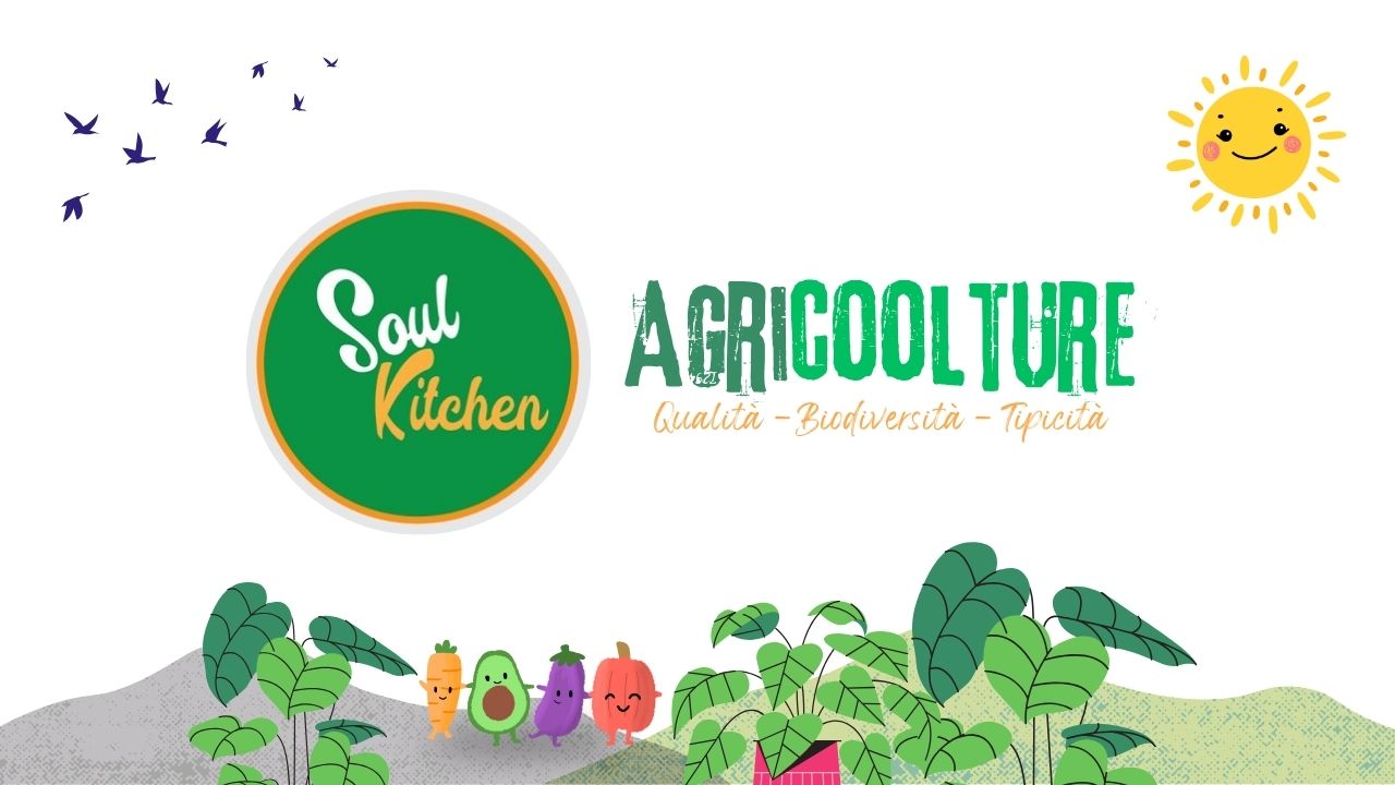 Soul Kitchen: Presentazione progetto